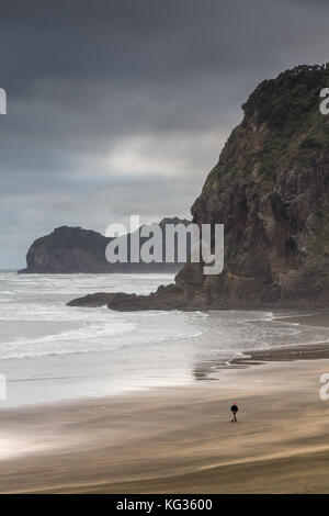 Une personne se promener le long de la plage de piha vers le rocher du Lion, sur la côte ouest d'Auckland, Nouvelle-Zélande Banque D'Images