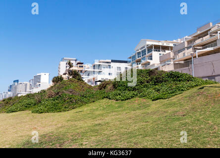 Paysage côtier de vert la végétation des dunes et de la pelouse contre les bâtiments commerciaux et résidentiels et ciel bleu à umhlanga près de Durban en Afrique du Sud Banque D'Images