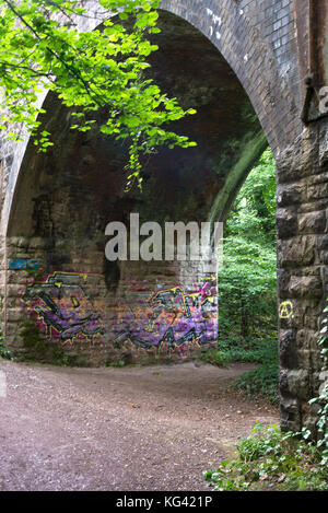 Graffitis sur les arches d'un pont ferroviaire vu de la rivière Avon qui longe l'Avon Gorge près de Clifton, Bristol, England Banque D'Images