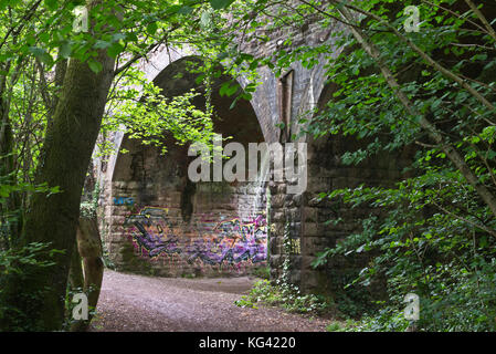 Graffitis sur les arches d'un pont ferroviaire vu de la rivière Avon qui longe l'Avon Gorge près de Clifton, Bristol, England Banque D'Images