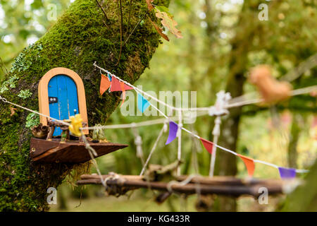 Les portes de fées sur des arbres dans un bois irlandais pour les petites gens. Banque D'Images