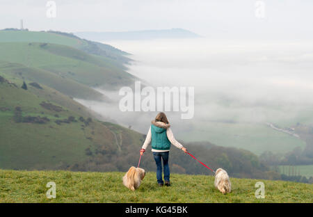 Brighton, UK. 29Th sep 2017. Un chien walker jouit du beau matin d'automne brumeux le long de la South downs way donnant sur le weald au dyke devils juste au nord de Brighton .les températures sont appelées à chuter considérablement tout au long de la Grande-Bretagne au cours des prochains jours de crédit : Simon dack/Alamy live news Banque D'Images