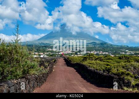 L'île de Pico dans les Açores avec son paysage dominé par le volcan, Mt Pico. Banque D'Images