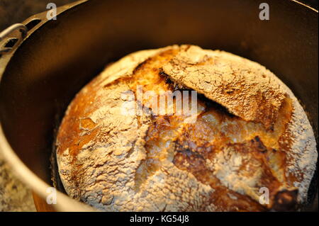 Pain frais artisanal de pain maison cuit au four dans un four hollandais lodge dans un pot en fonte doven à haute température. Banque D'Images