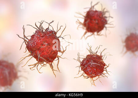 Les cellules dendritiques, illustration de l'ordinateur. Les cellules dendritiques, un type de globules blancs, sont un type de cellules présentatrices d'antigène (APC) et sont trouvés dans les tissus du corps. Ils jouent un rôle dans le système immunitaire du corps en reconnaissant et en phagocytosing (engloutissant et détruire les pathogènes). Il présente ensuite les parties digérées (antigènes) de la pathogènes phagocytés à d'autres cellules du système immunitaire. Les projections de longue vu sur la surface des cellules de les aider à se déplacer autour du corps. Banque D'Images