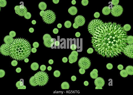 Les grains de pollen à partir de différentes plantes, illustration de l'ordinateur. La taille des grains de pollen, la forme et la texture de surface diffèrent d'une espèce de plante à une autre, comme on le voit ici. La paroi extérieure de l'exine () du pollen dans de nombreuses espèces végétales est très sculpté qui peuvent aider dans le vent, l'eau ou la dispersion de l'insecte. Ce pollen sculpting est également utilisé par les botanistes de reconnaître les espèces végétales. Les pores de la paroi pollinique aide dans la régulation de l'eau et la germination. Ces spores mâles reproduction produite par les plantes à graines contiennent les gamètes mâles. Le pollen féconde l'ovule, et la formation subséquente de graines de plantes. Banque D'Images