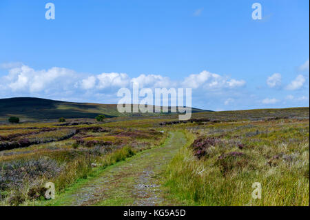 Cuilcagh Mountain Park à la frontière entre le comté de Fermanagh et Co Cavan, Irlande Banque D'Images