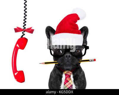 Office de Tourisme d'affaires Bouledogue français chien avec stylo ou crayon en bouche isolé sur fond blanc, sur les locations de vacances de Noël avec santa claus hat, Banque D'Images
