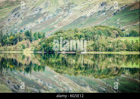 Reflets de l'arbre à Grasmere dans le Parc National du Lake District, Cumbria, Royaume-Uni Banque D'Images