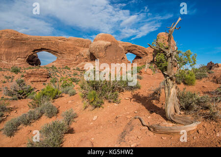 Fenêtre nord et sud arch dans le Arches national park, Utah, USA Banque D'Images