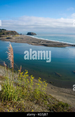 Fédération de rivière qui coule dans le Pacifique, Nord de la Californie, USA Banque D'Images