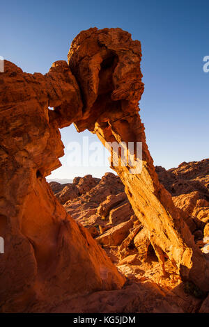 Arche de grès redrock au lever du soleil dans le parc national de la vallée de Feu, Nevada, USA Banque D'Images