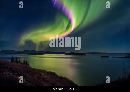 Northern Lights sur le lac Thingvallavatn Thingvellir ou. Le Parc National de Thingvellir. L'Islande. Le parc est un UNESCO World Heritage site. Banque D'Images