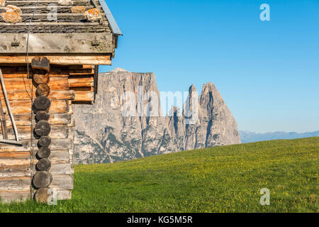 Alpe di Siusi / Seiser Alm, Dolomites, Tyrol du Sud, Italie. Banque D'Images