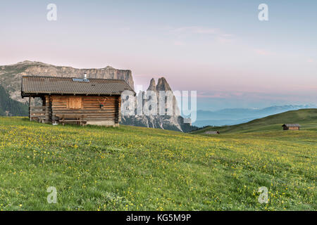 Alpe di Siusi / Seiser Alm, Dolomites, Tyrol du Sud, Italie. Le matin sur l'Alpe di Siusi. En arrière-plan, les pics de Sciliar/Schlern Banque D'Images