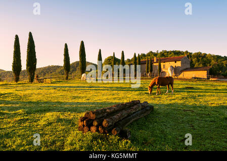 L'équitation dans la région de Franciacorta, province de Brescia, Lombardie, Italie, district de l'Europe. Banque D'Images