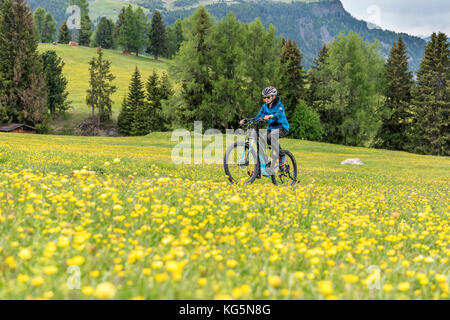 Alpe di Siusi / Seiser Alm, Dolomites, Tyrol du Sud, Italie. Un motard de montagne sur l'Alpe di Siusi Banque D'Images