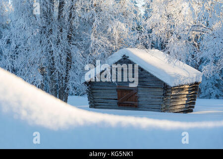 Cabane en bois dans la forêt enneigée, Kiruna, comté de Norrbotten, Lapland, Sweden Banque D'Images