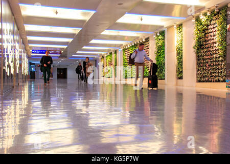 Taipei, Taiwan. Les gens à l'intérieur du Taiwan Taoyuan International Airport, l'aéroport le plus achalandé du pays et la principale plaque tournante internationale pour China Airlines et EVA Air. Banque D'Images