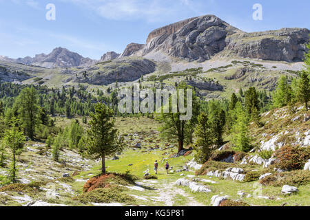 L'Italie, le Tyrol du Sud, Bolzano, district de San Vigilio di Marebbe, les caractéristiques des couches de mont sass da bech Banque D'Images