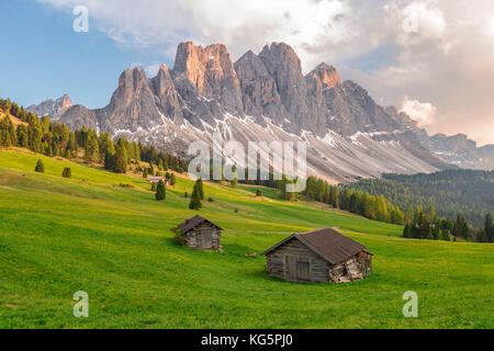 Gampenwiese, gampen alm, val di funes - villnoesser tal, suedtirol - alto adige - Tyrol du sud, Italie, Europe Banque D'Images