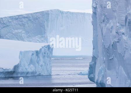 Les icebergs tabulaires, de l'Antarctique Banque D'Images