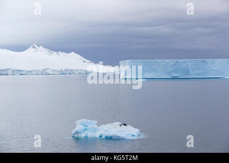 Iceberg tabulaire, l'Antarctique Banque D'Images