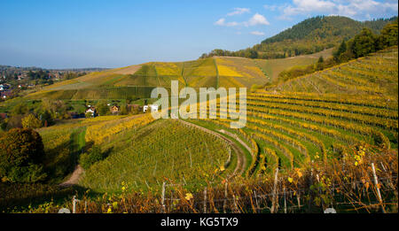 Au-dessus des vignes ortenberg au sud-ouest de l'Allemagne Banque D'Images