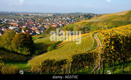 Au-dessus des vignes ortenberg au sud-ouest de l'Allemagne Banque D'Images