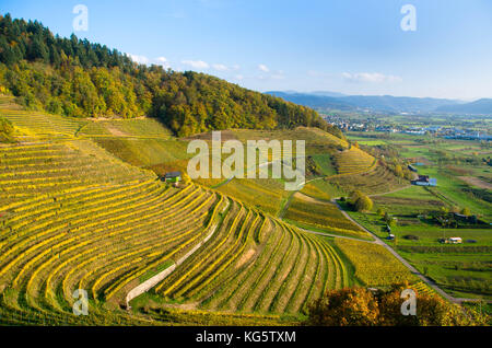 Au-dessus des vignes ortenberg au sud-ouest de l'Allemagne Banque D'Images