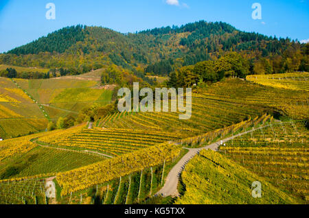 Au-dessus des vignes ortenberg au sud-ouest de l'Allemagne Banque D'Images