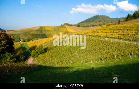 Au-dessus des vignes ortenberg au sud-ouest de l'Allemagne Banque D'Images