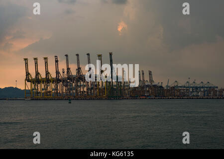 Grue à conteneurs au quai de chargement Tanjong Pagar, Singapore's grand dock Company pour le chargement et déchargement de marchandises et conteneurs. Banque D'Images