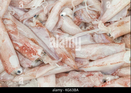 Israël, Akko (Acre) - 9 octobre 2017 : Fruits de mer vendus au bazar turc à Akko. Banque D'Images