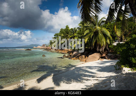 Les Seychelles, Praslin, Petit Anse, plage vide, avec l'ombre de palmier sur le sable Banque D'Images