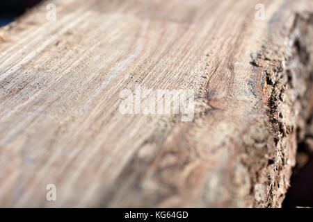 Close up detail de bois fraîchement moulu montrant la surface plate sur le tronc de l'arbre avec un motif grain de bois et l'écorce Banque D'Images