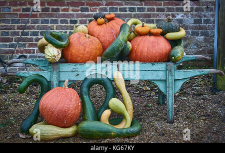 Citrouilles, courges et citrouilles disposées sur une vieille charrette dans un jardin Banque D'Images