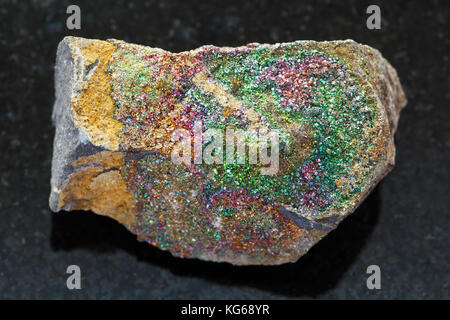 La prise de vue macro des eaux minérales naturelles et des spécimens de roches rugueuses - pyrite arc-en-ciel sur la pierre de granit sombre arrière-plan d'Oulianovsk, Russie Banque D'Images