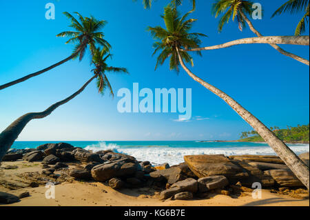 Plage tropicale au Sri Lanka Banque D'Images