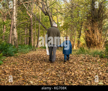 Un grand-père tenant la main du jeune petit-fils marcher sur le chemin couvert de feuilles mortes sur une froide journée d'automne, Ecosse, Royaume-Uni Banque D'Images