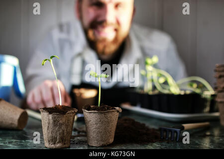 L'horticulture et le processus de préparation des semis pré pour la nouvelle saison Banque D'Images
