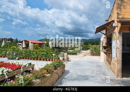 Majorque, Baléares, Espagne - 26 juillet 2017 : cafe et le jardin à la pépinière edeen lors d'une journée ensoleillée le 26 juillet 2017 à Majorque, îles Baléares Banque D'Images