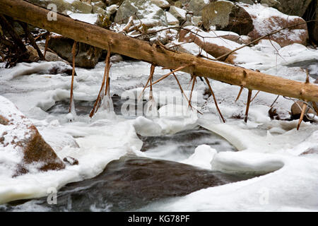 Un arbre tombé dans une rivière de montagne en Autriche. Banque D'Images