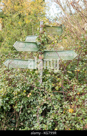 De multiples signes de sentier envahissent avec de l'ivie dans les Cotswolds, en Angleterre, au Royaume-Uni Banque D'Images