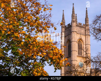 Tour de l'église St Luke's avec la couleur en automne, Sydney Street, Londres Banque D'Images