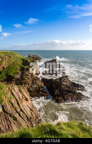 Les spectaculaires falaises de grès immédiatement sous les ruines de Slains Castle sur la côte de la mer du Nord de l'Aberdeenshire, Ecosse, Royaume-Uni Banque D'Images