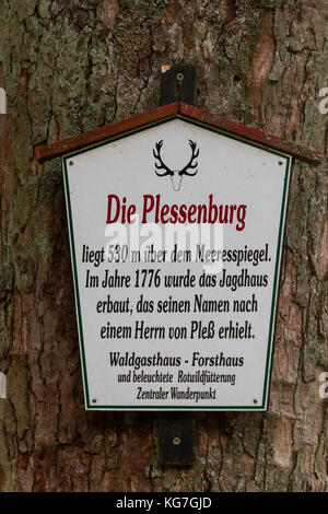 Ilsetal Nationalpark Harz Banque D'Images
