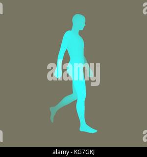 L'homme marche. Corps humain 3d modèle. élément de conception. vector illustration. Illustration de Vecteur