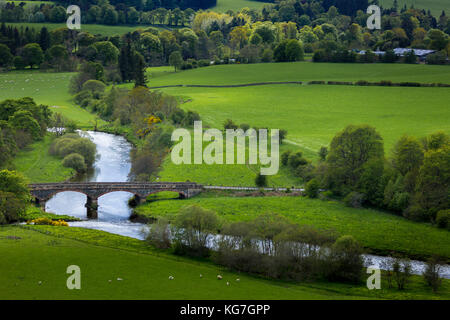 Manoir pont traverse la rivière Tweed juste en dehors de la ville de peebles dans la région des Borders of Scotland Banque D'Images