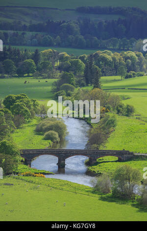 Manoir pont traverse la rivière Tweed juste en dehors de la ville de peebles dans la région des Borders of Scotland Banque D'Images